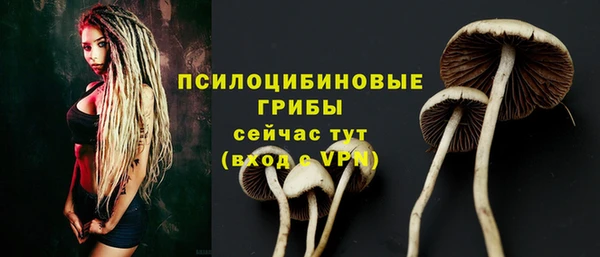 кокс Аркадак