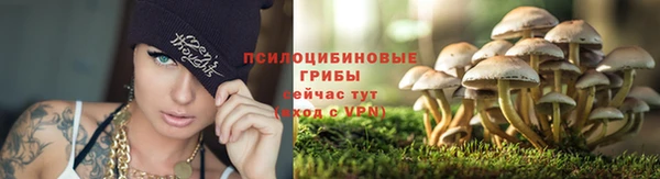 метадон Арсеньев