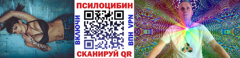 Псилоцибиновые грибы GOLDEN TEACHER  где найти наркотики  Долгопрудный 